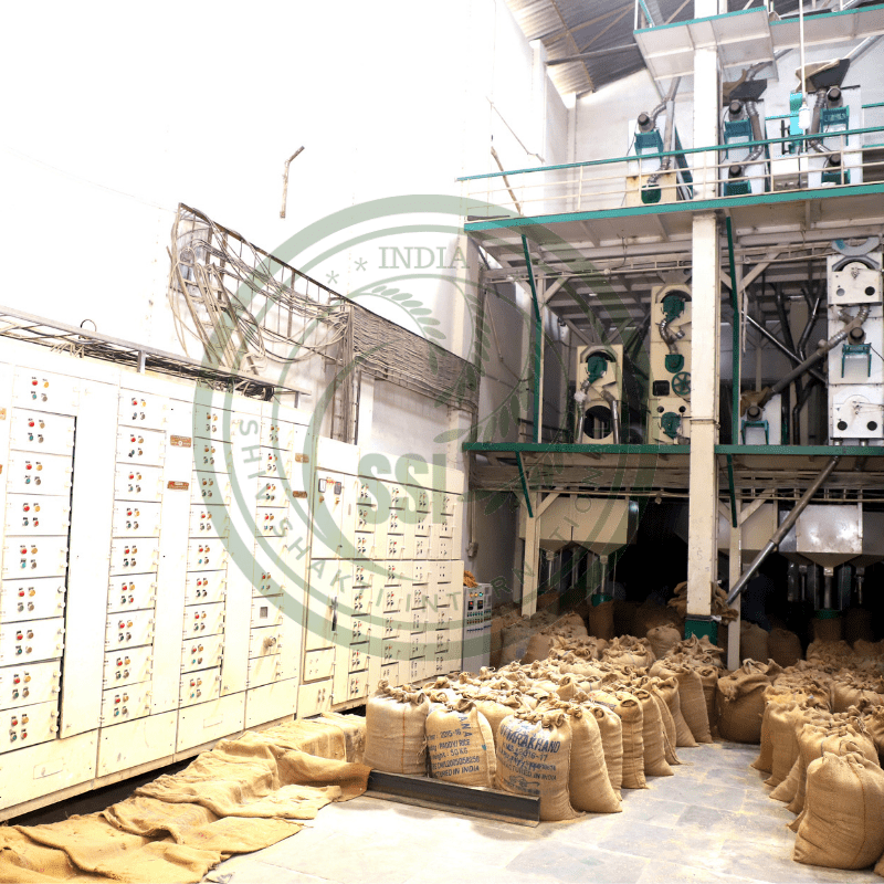 Untitled design (12)